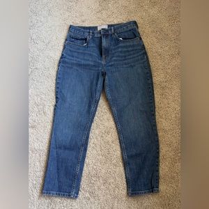 Everlane cheeky jean